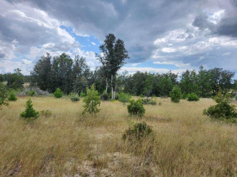 Pinewood Rd 13, Nicholls, GA 31554 Trulia