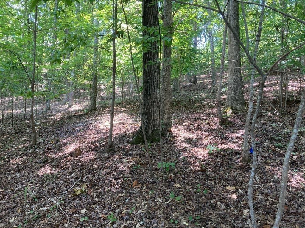 213 E Fort Way, Sunset, SC 29685 Trulia