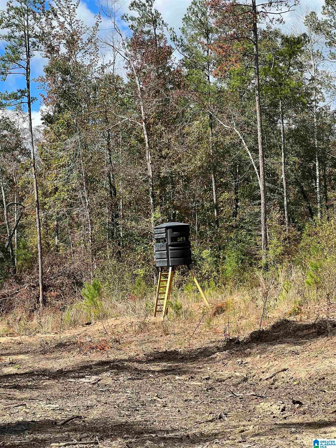 Highway 82 W, Plantersville, AL 36758 Trulia