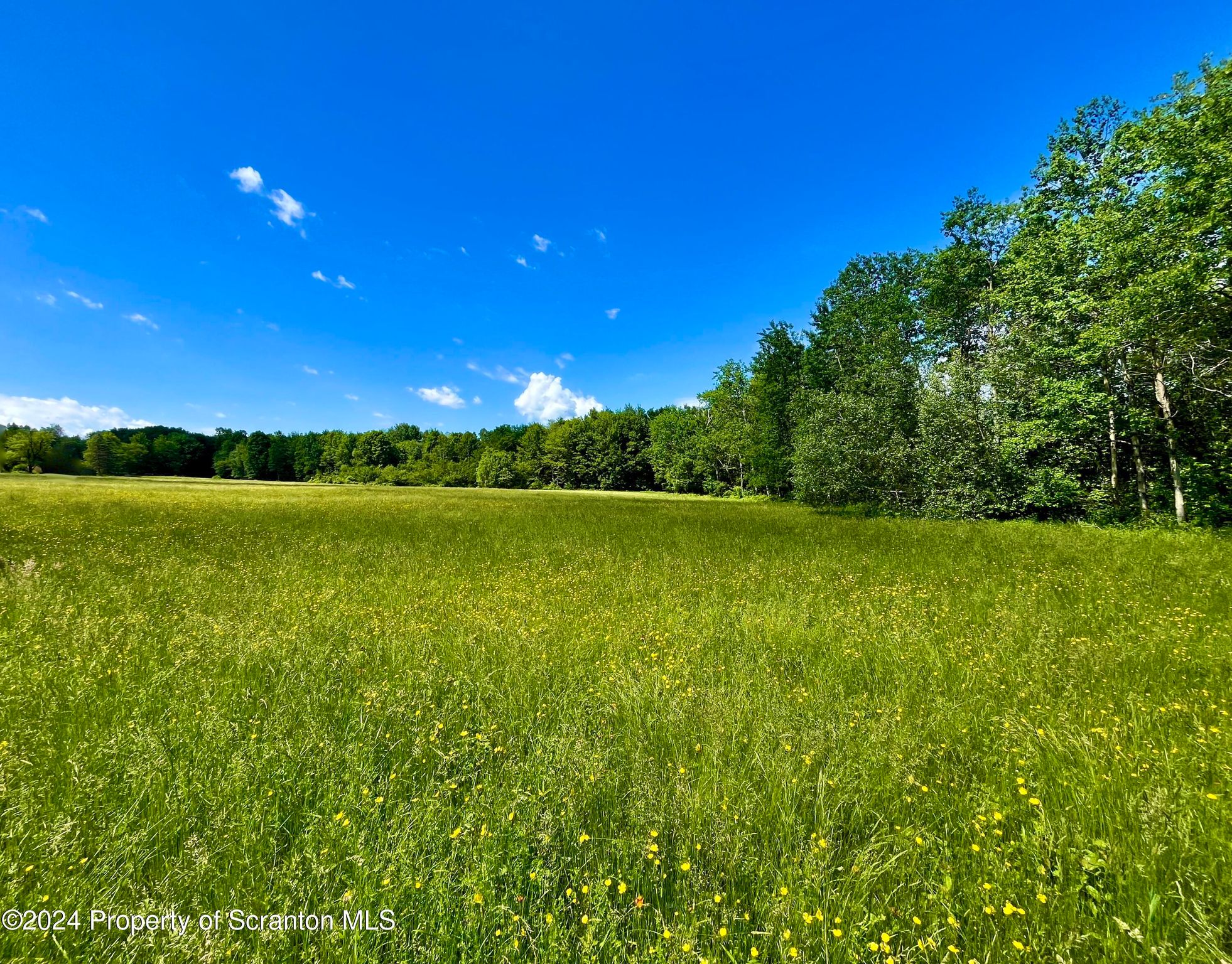 9755 State Route 171, Union Dale, PA 18470 MLS SC3422 Trulia