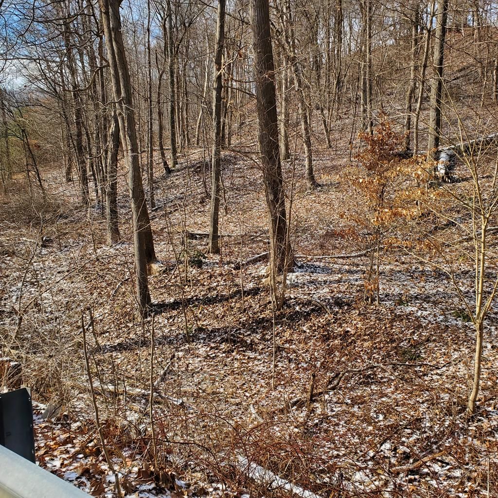 Rosemount Rd, Portsmouth, OH 45662 Trulia