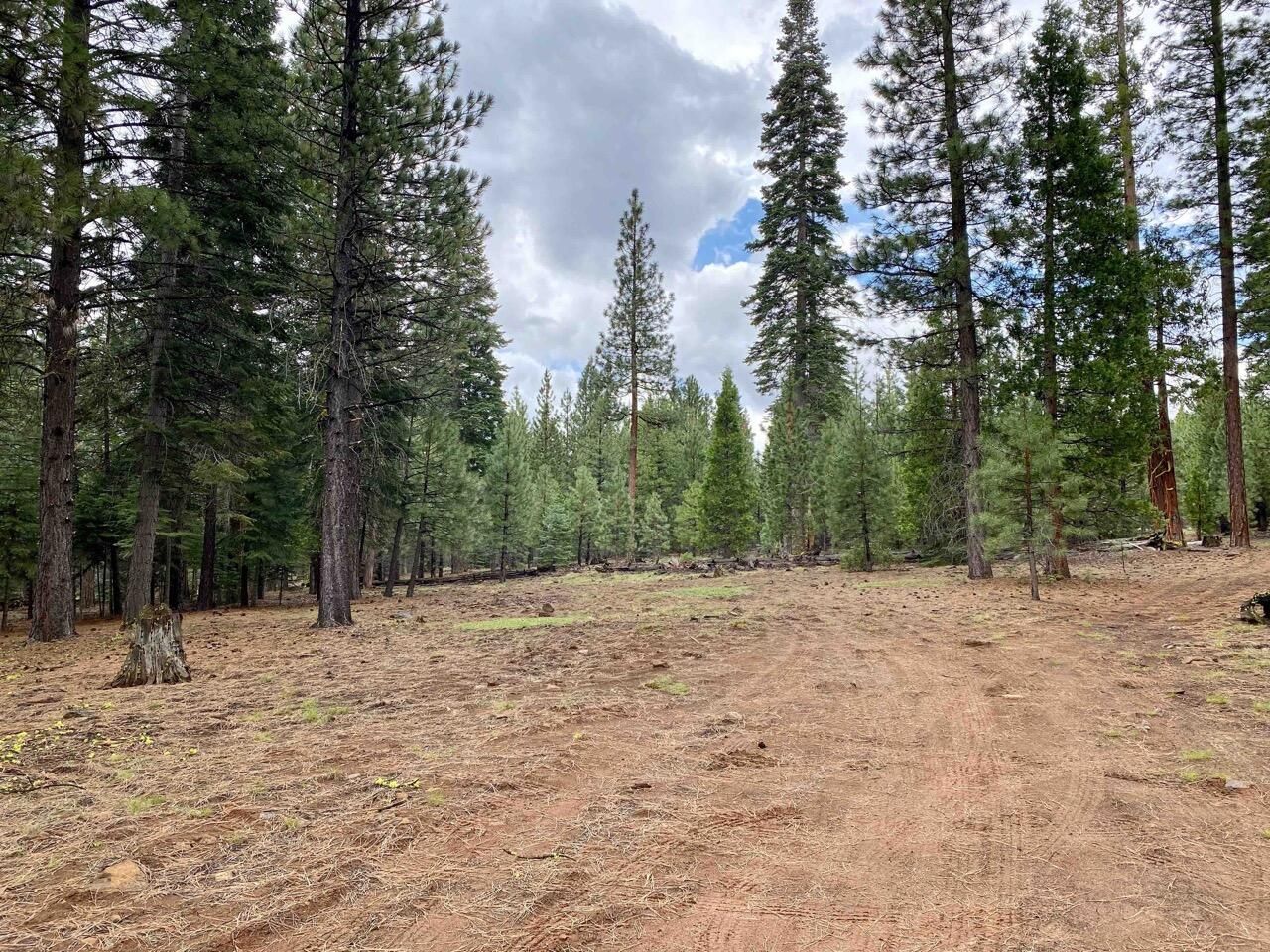 Ponderosa Ln, Old Station, CA 96071 Trulia