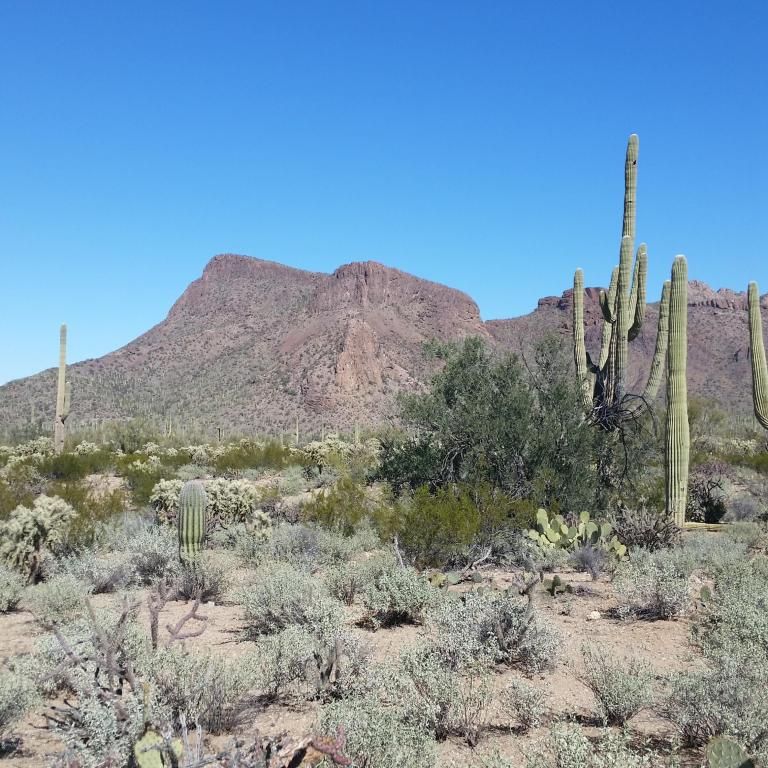 9638 W Lariat Dr, Tucson, AZ 85743 Trulia