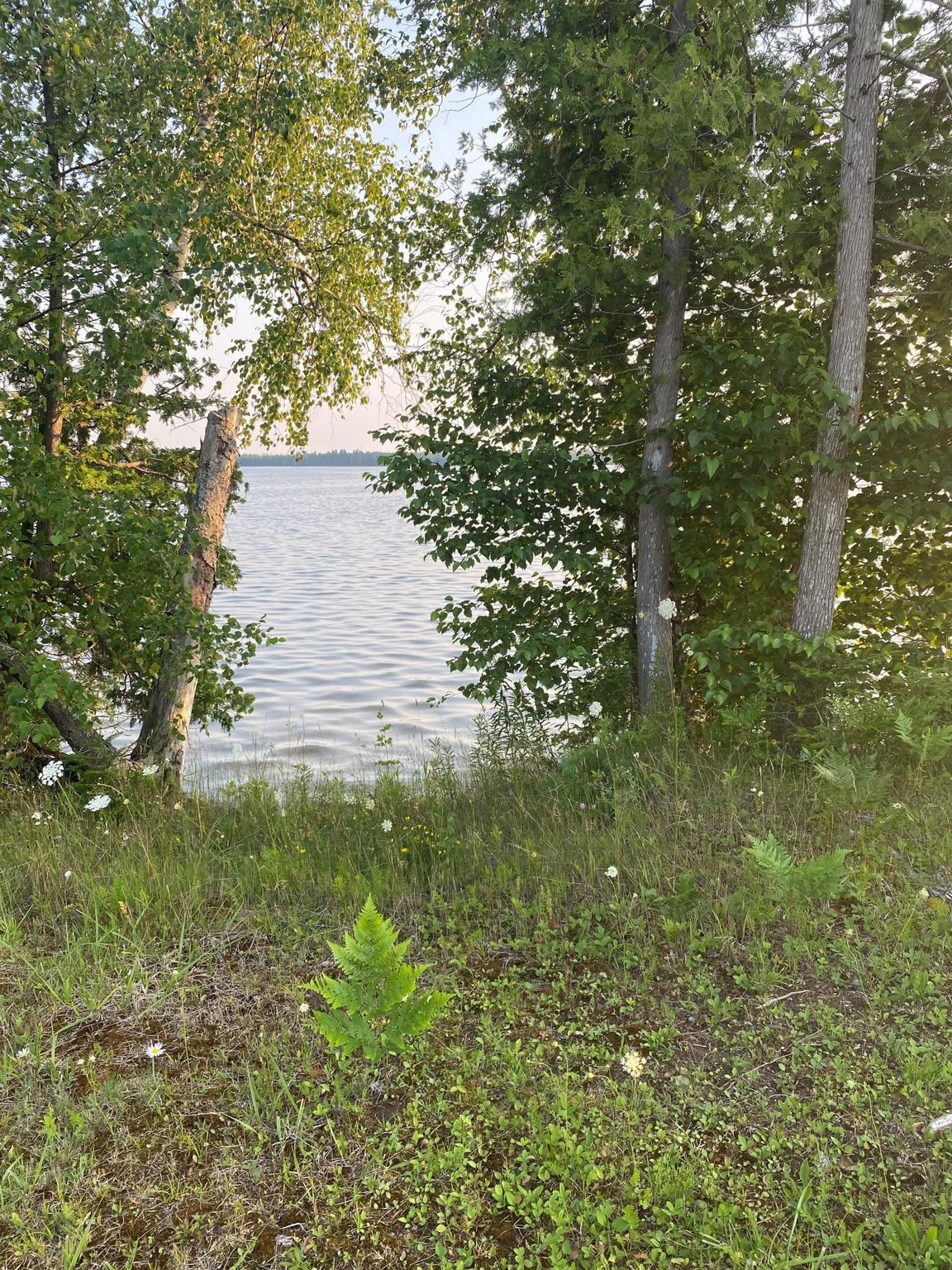 N5929 E Milakokia Lake Rd, Gould City, MI 49838 Trulia