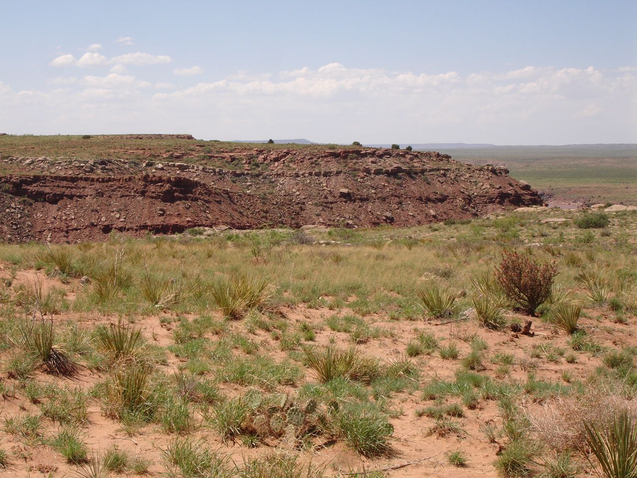 7351 Quay Road AI Lot 5, Tucumcari, NM 88401 Trulia