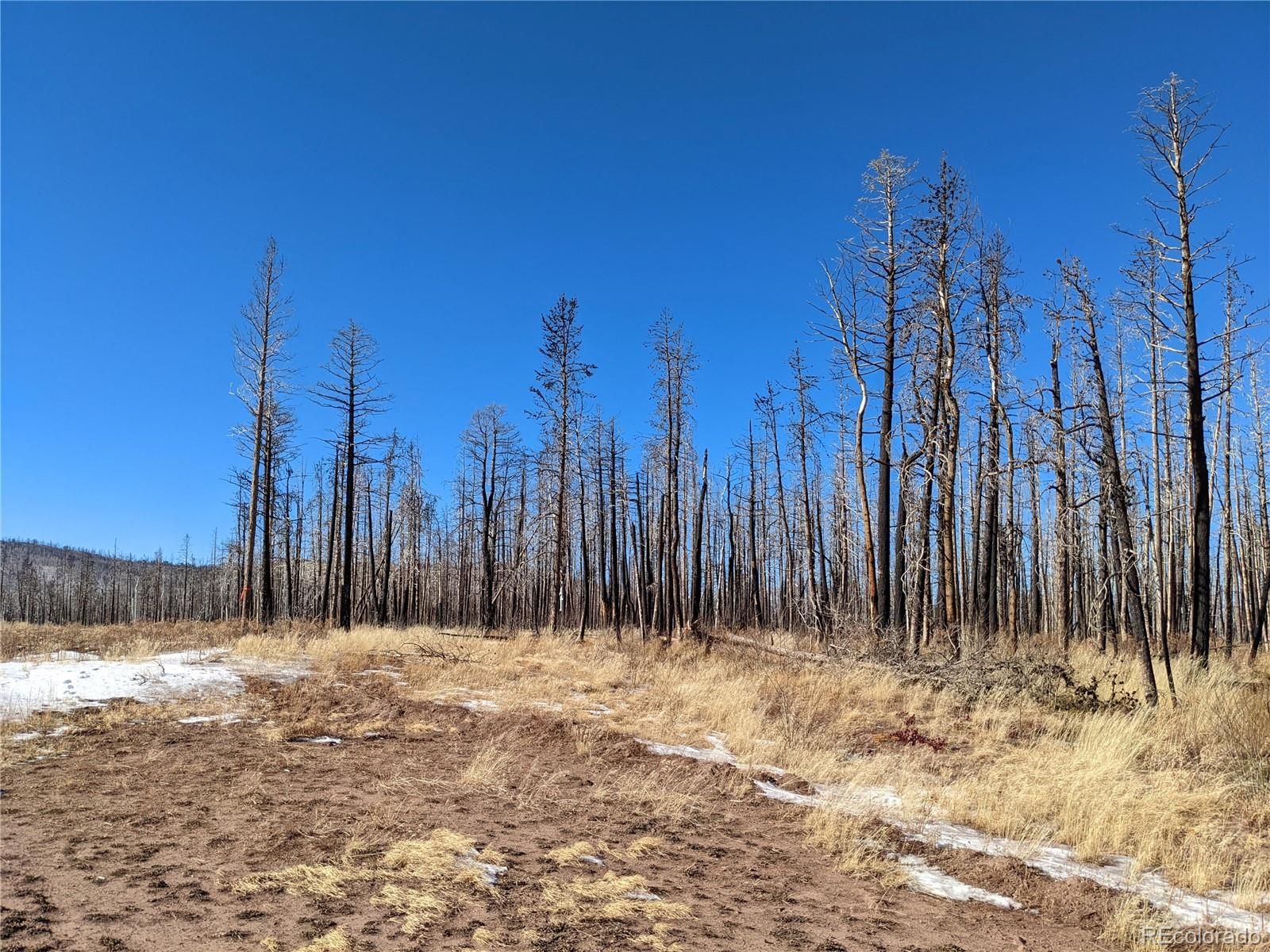 1420 Nolan Place, Fort Garland, CO 81133 Trulia