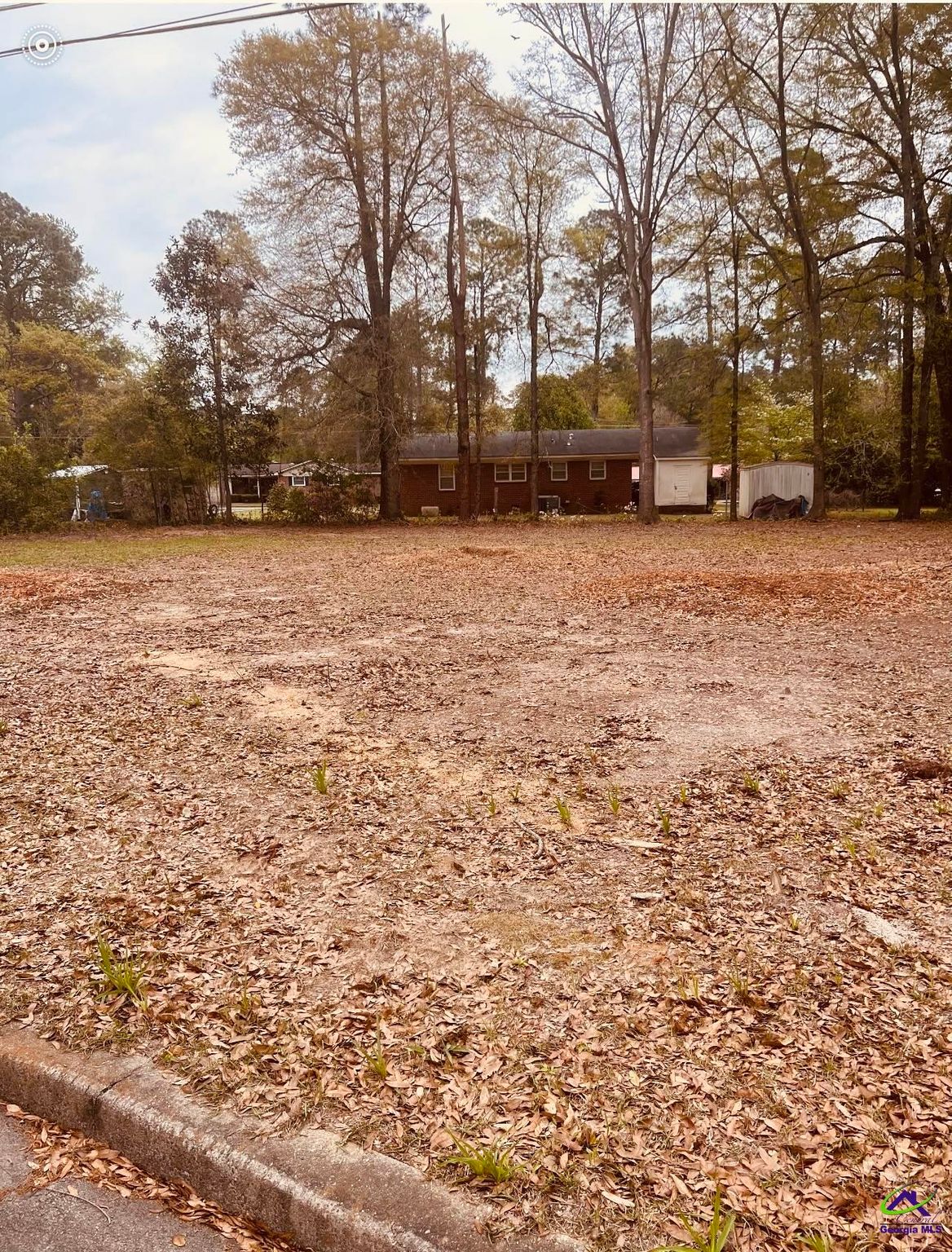 316316 Lakeshore Dr A, Montezuma, GA 31063 MLS 241916 Trulia