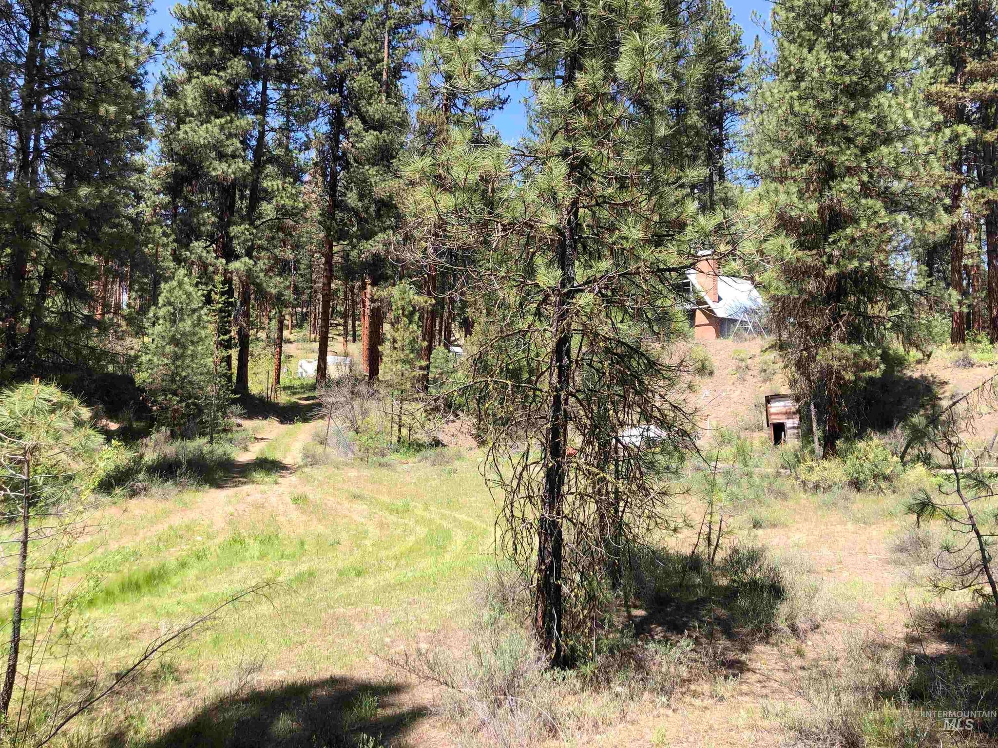 4156 Highway 21, Idaho City, ID 83631 MLS 98911814 Trulia