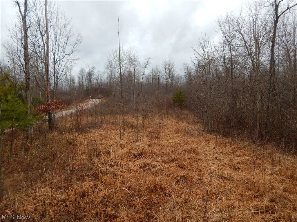 10 Tunnel Ridge Rd, Pennsboro, WV 26415 | Trulia