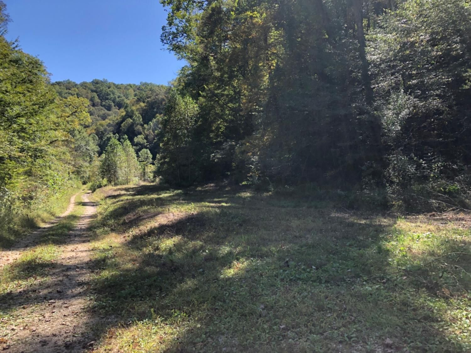 1 Howards Creek Rd, Jackson, KY 41339 Trulia