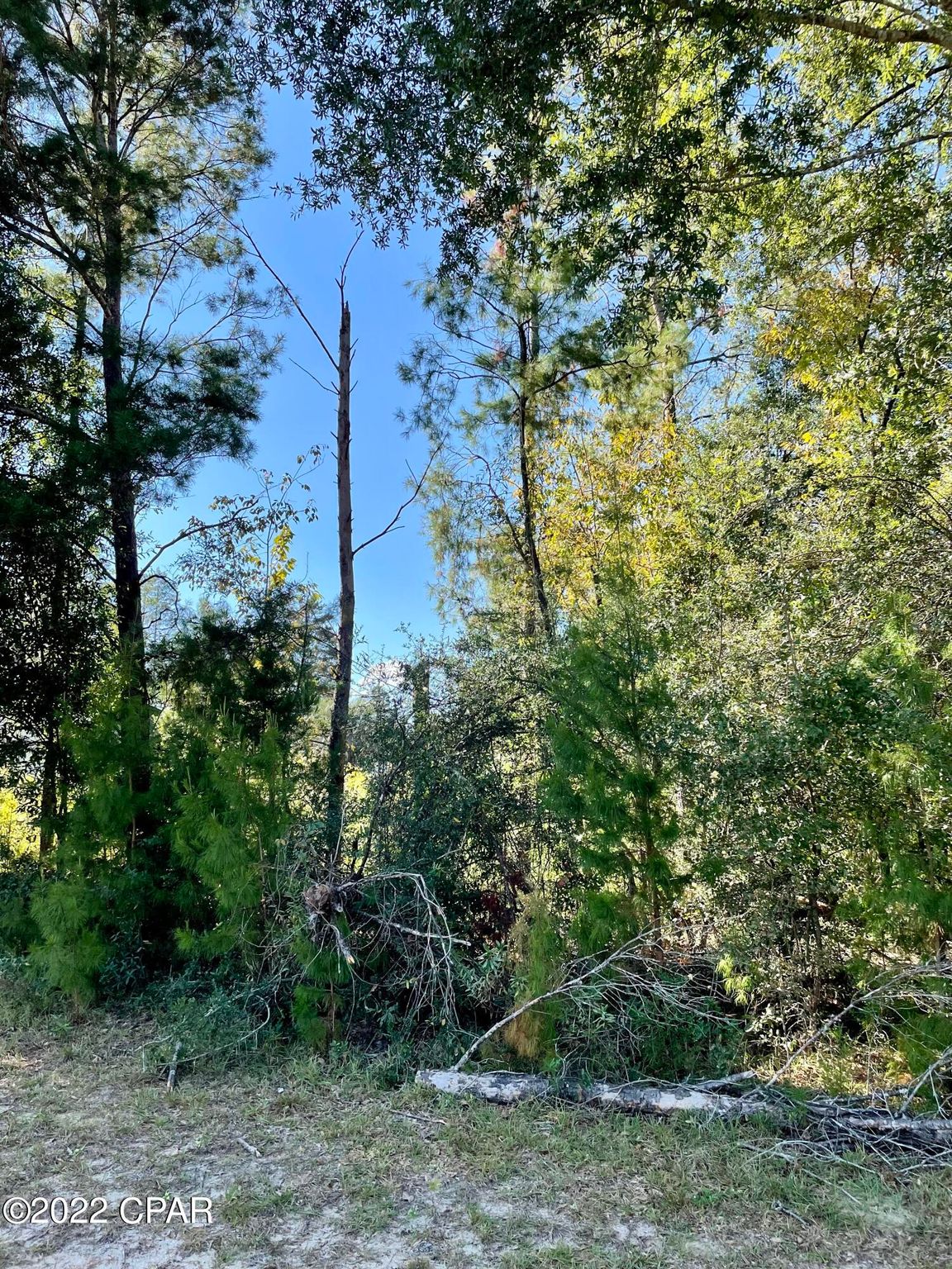Lot 11 Sunny Hills Blvd 11, Chipley, FL 32428 Trulia