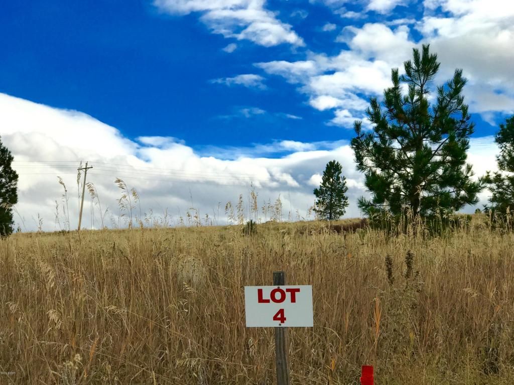 860 Cochise Way, Hamilton, MT 59840 Trulia