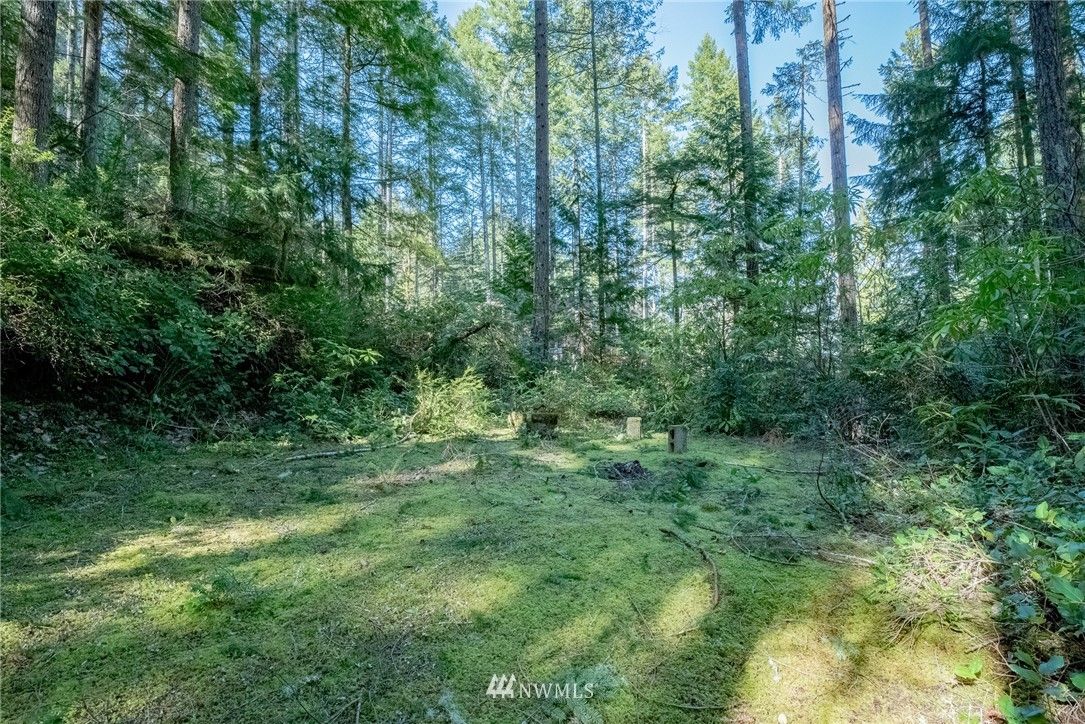 211 N Paradise Drive, Lilliwaup, WA 98555 Trulia