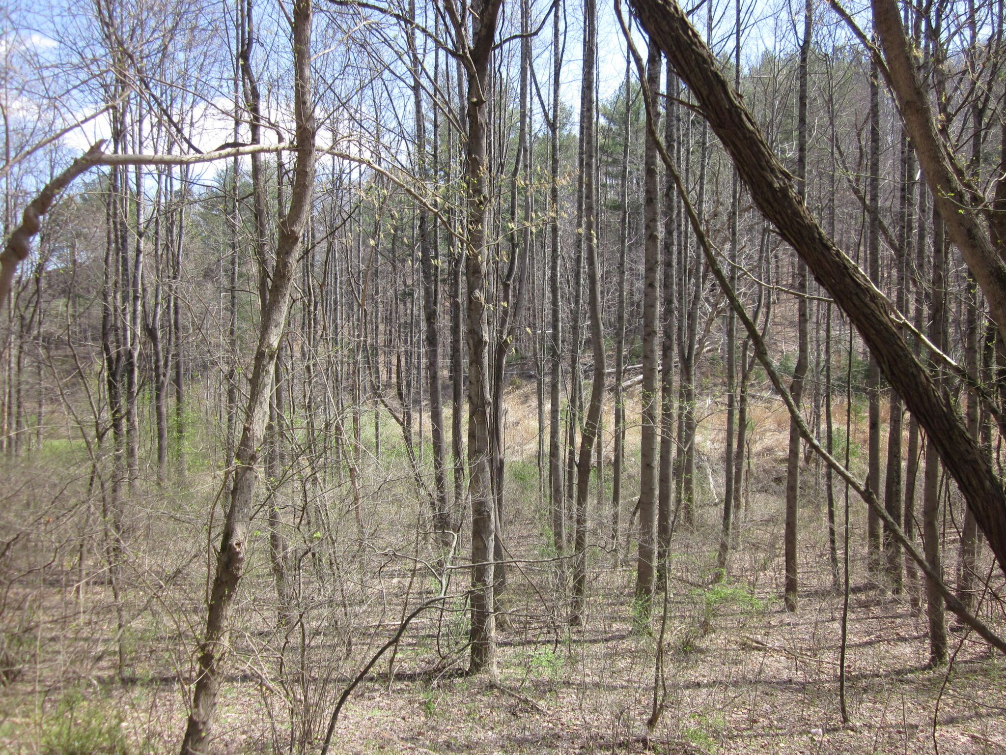 4 Bethlehem Rd, Boones Mill, VA 24065 Trulia