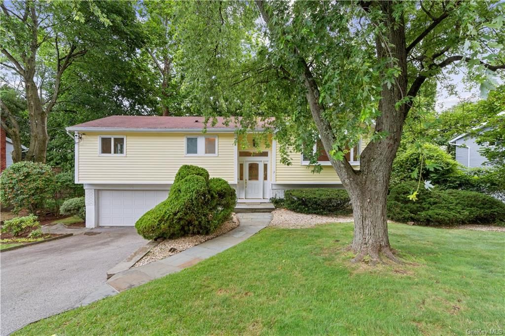 11 olympic lane ardsley ny 10502