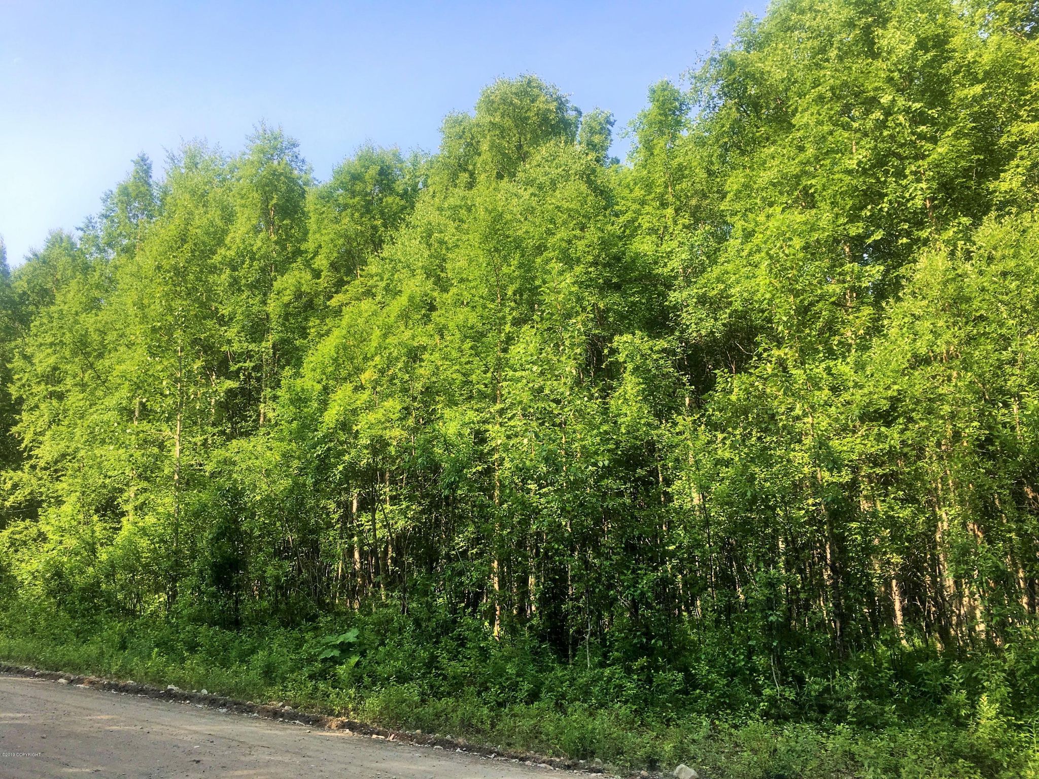 32492 McKinley View Dr, Talkeetna, AK 99676 Trulia