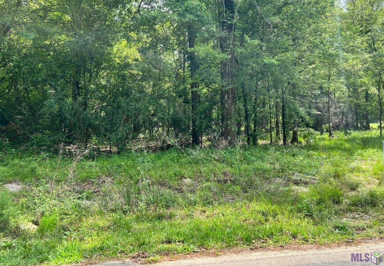 28650 Magnolia Dr, Walker, LA 70785 Trulia