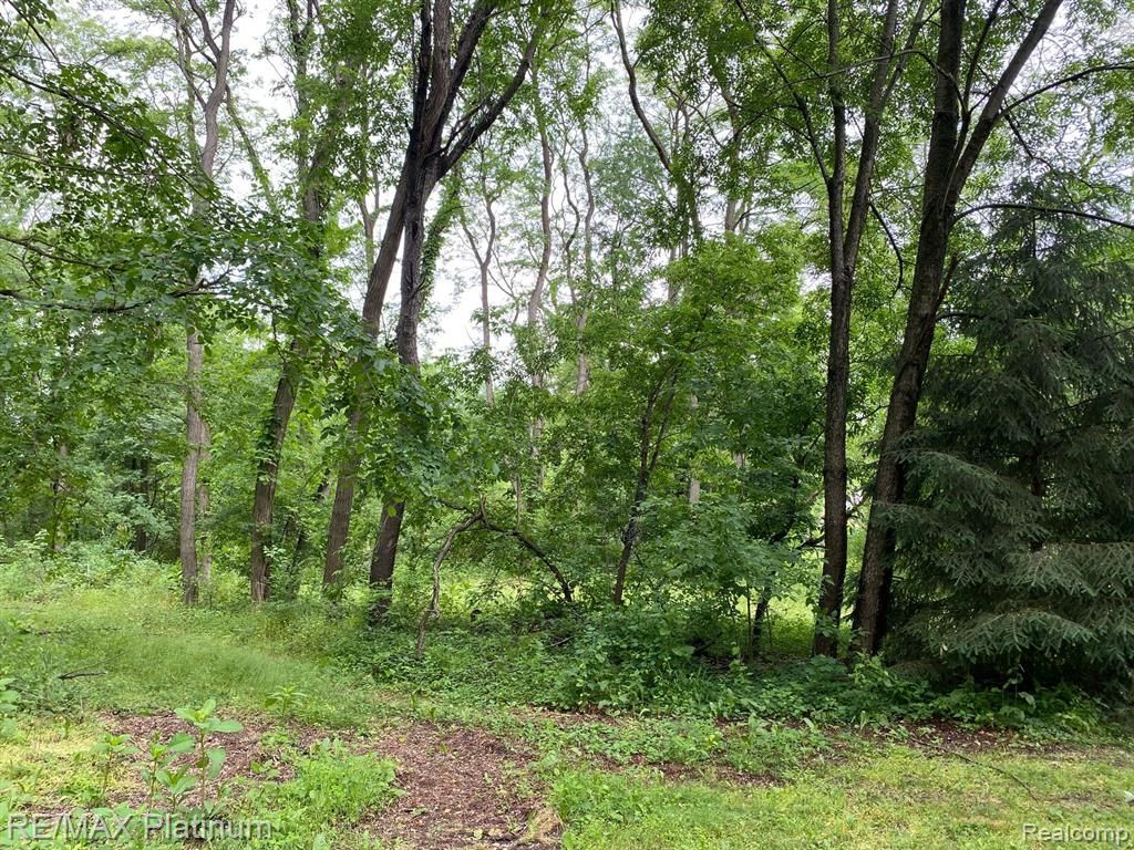 PARCEL Brighton Rd B, Brighton, MI 48116 Trulia