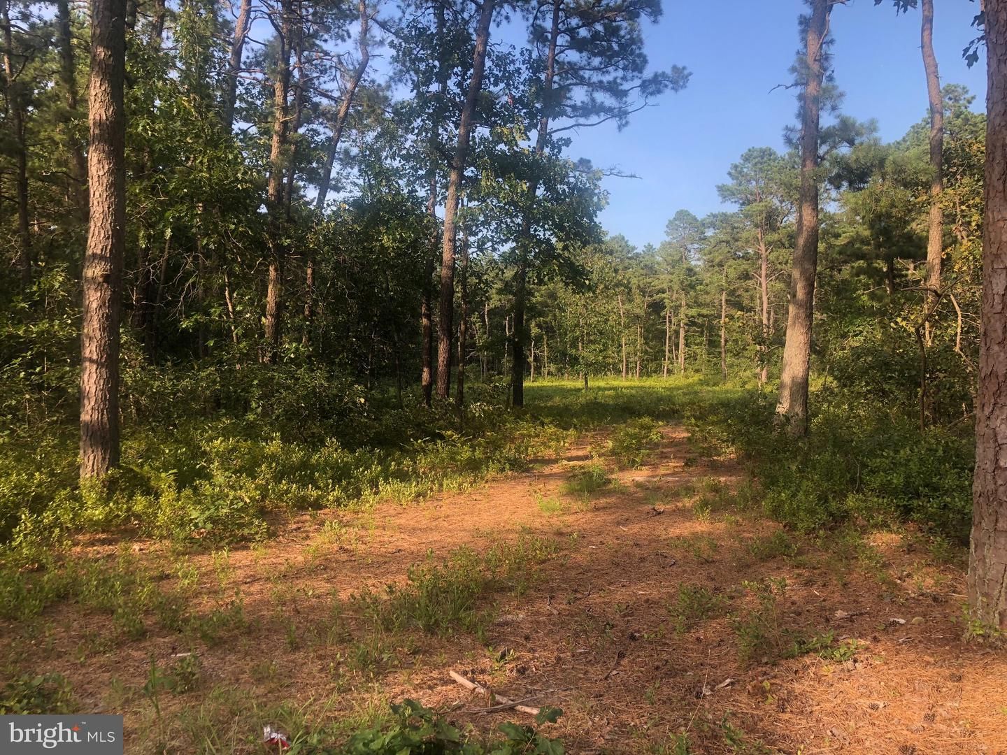 4006 County Route 563, Chatsworth, NJ 08019 Trulia