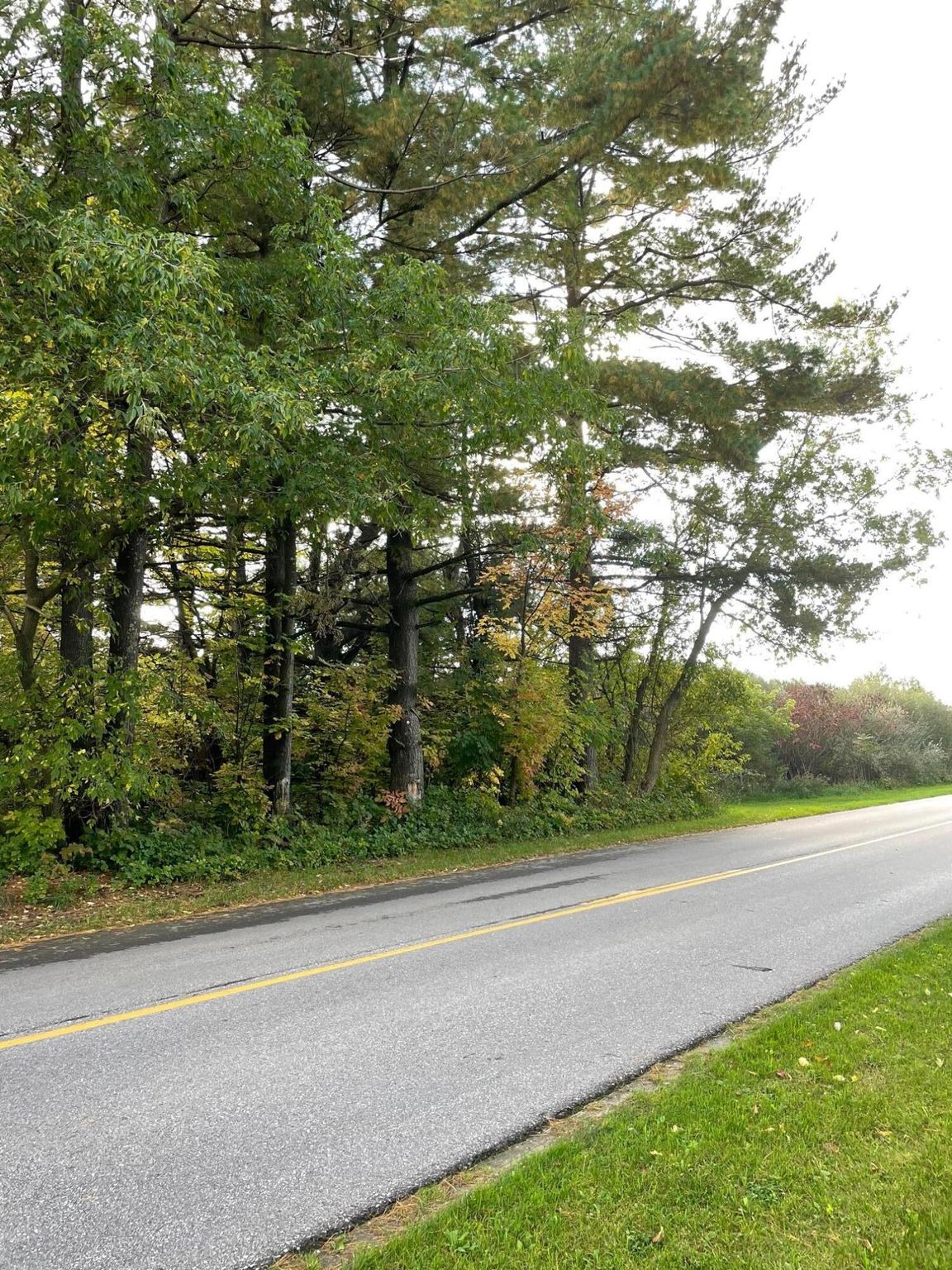 W Freesoil, Free Soil, MI 49411 Trulia