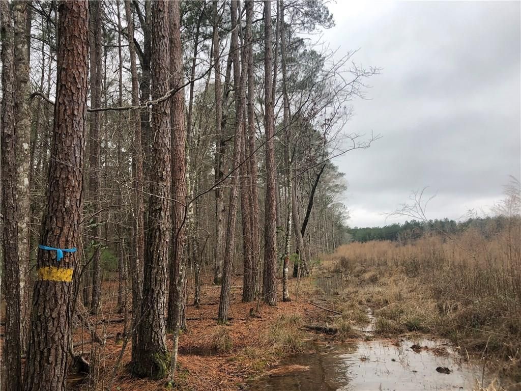 Allen Marthaville Rd, Robeline, LA 71469 Trulia