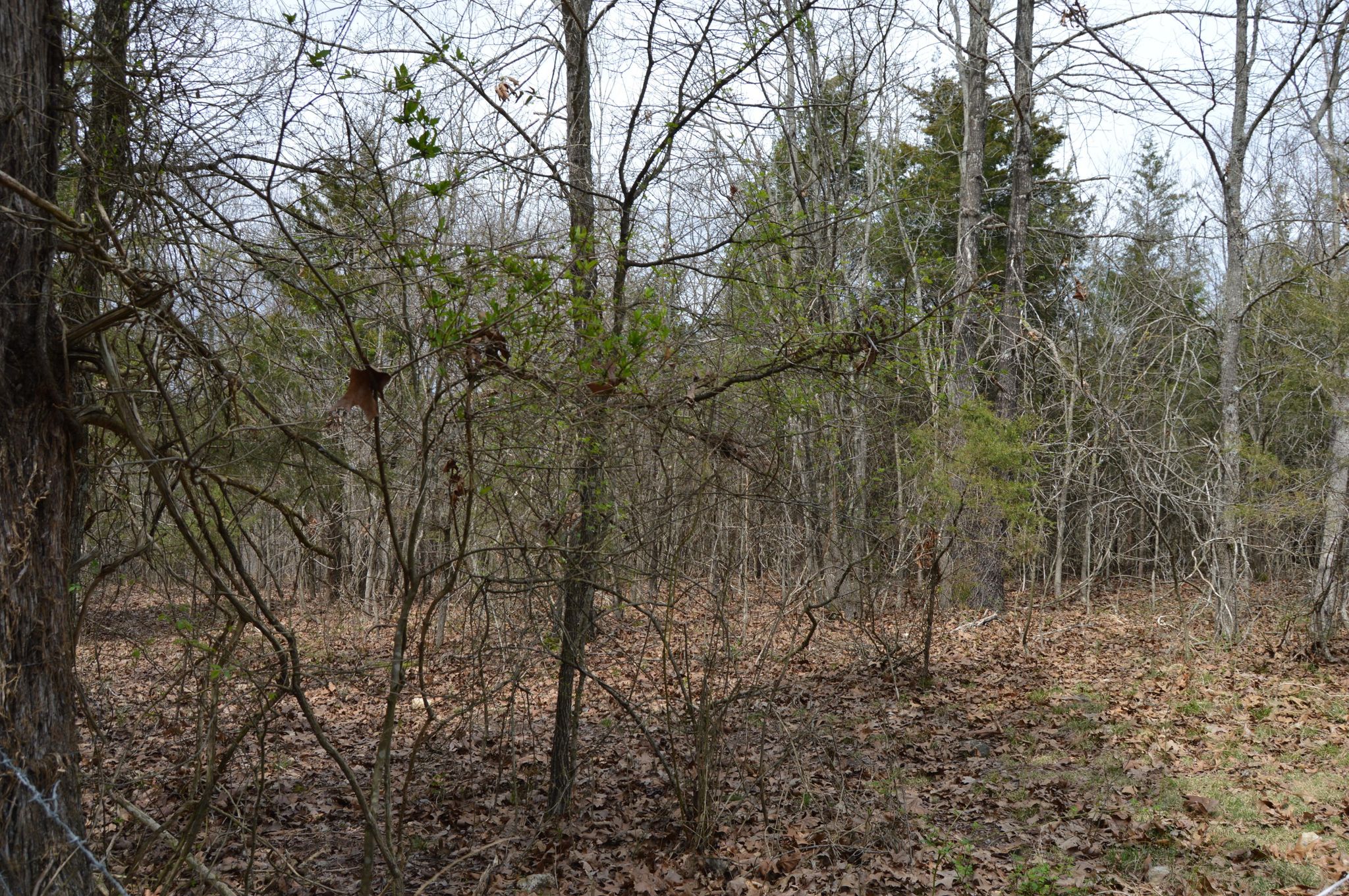 Tbd Yocum Pond Rd, Galena, MO 65656 Trulia