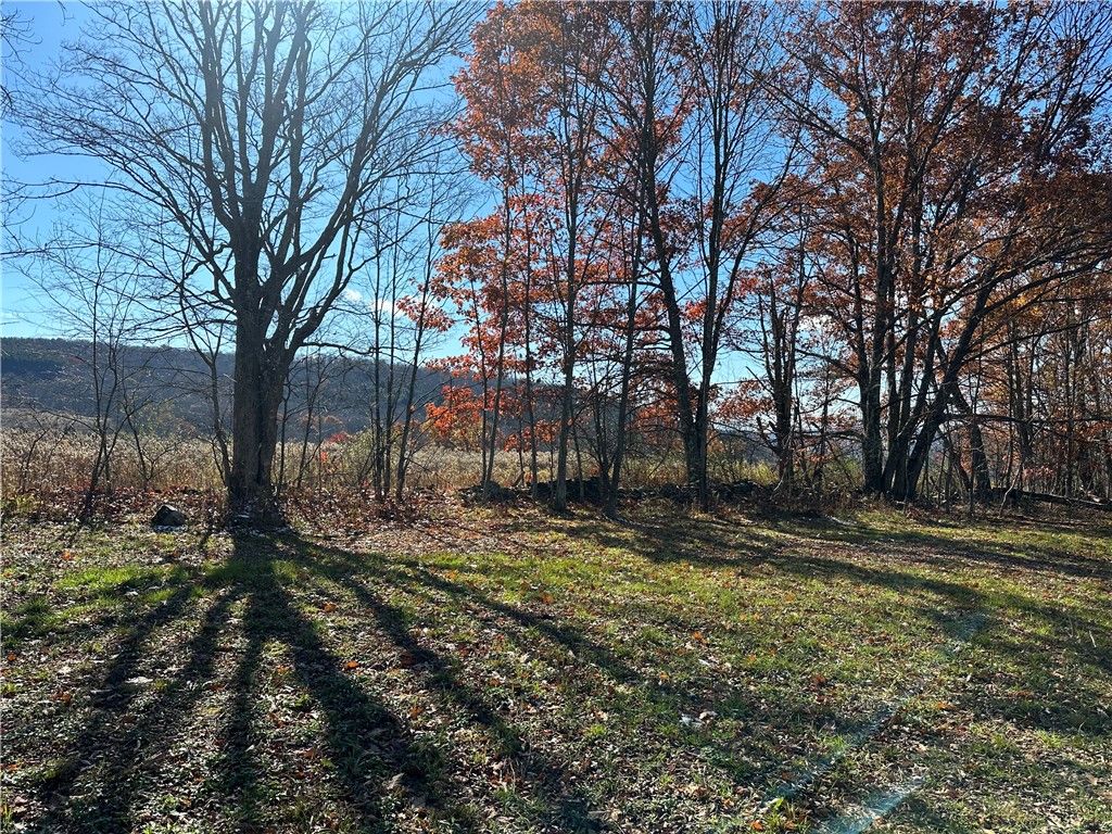 12522 State Highway 206, Walton, NY 13856 MLS R1509709 Trulia