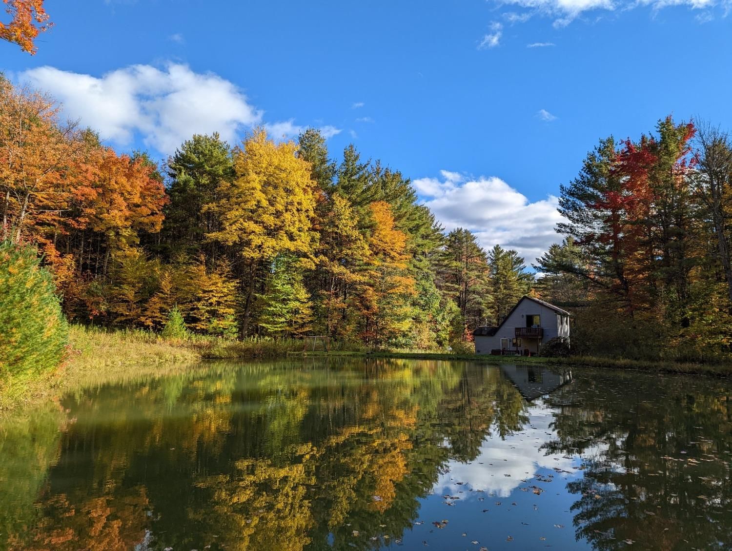 104 Peter Rd, Willseyville, NY 13864 Trulia
