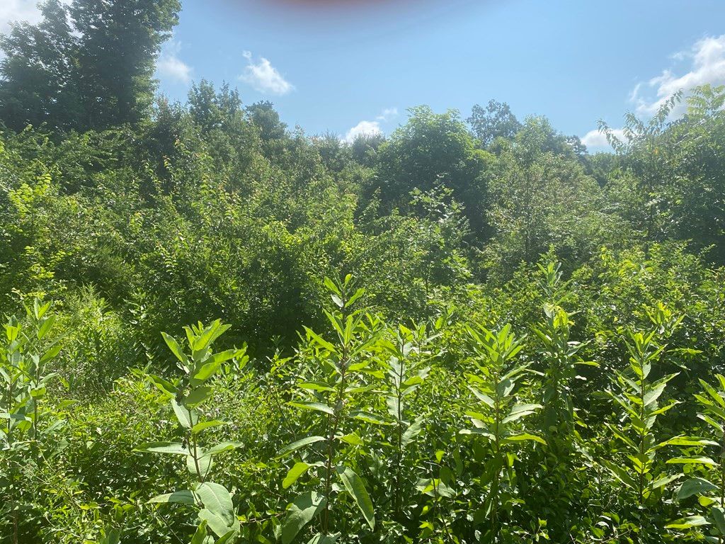 LOT Bethany Rd A, Monson, MA 01057 MLS 73141962 Trulia