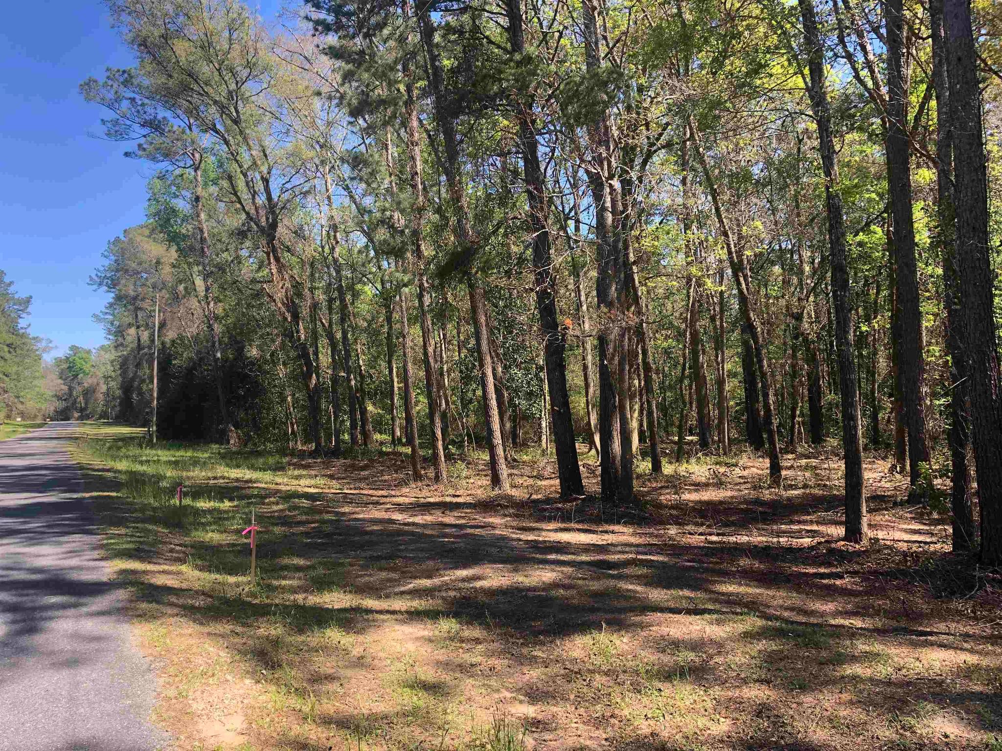 Casa Bianca Rd, Monticello, FL 32344 Trulia