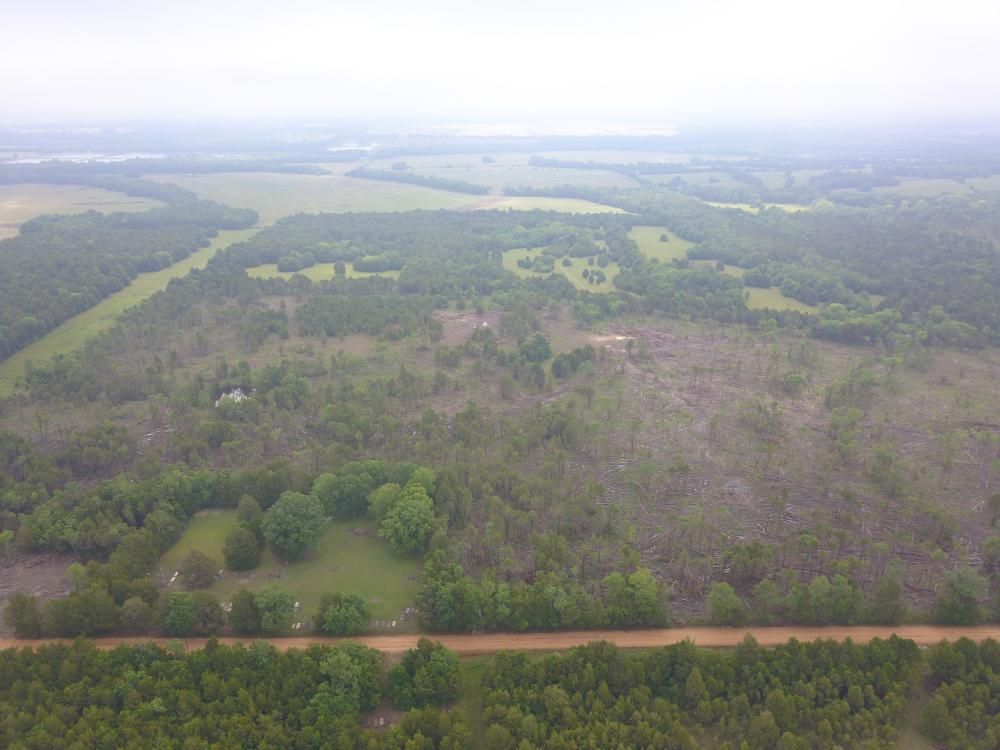 Allenville Rd, Faunsdale, AL 36738 Trulia