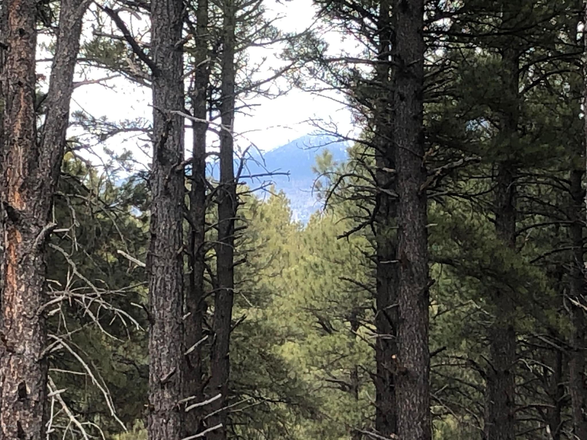Coyote Pass 3, Flagstaff, AZ 86001 Trulia