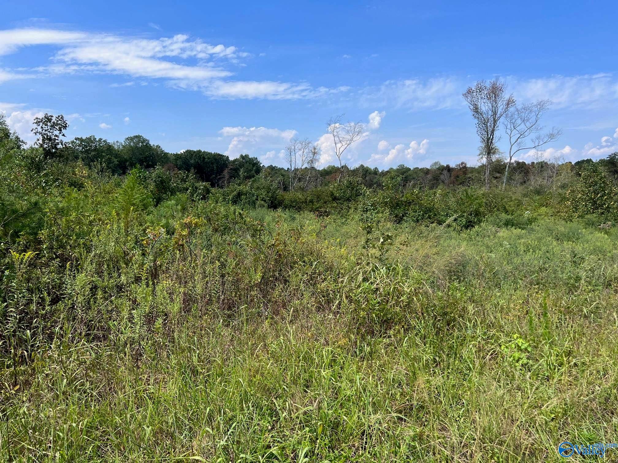 /county Rd 121, Fort Payne, AL 35968 Trulia