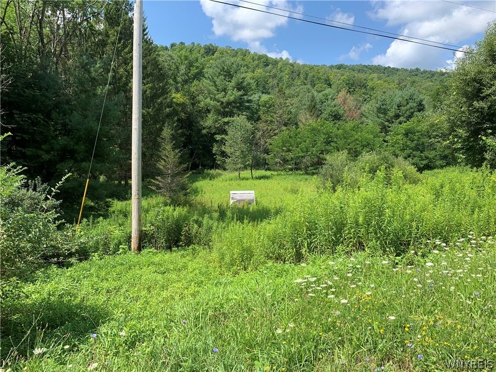 Porter Hollow Rd, Great Valley, NY 14741 Trulia