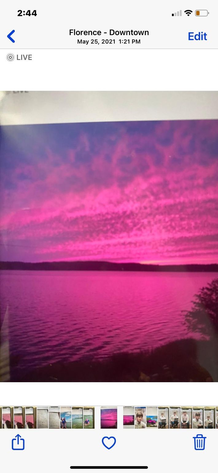 13510 Riverton Rose Trl, Cherokee, AL 35616 Trulia