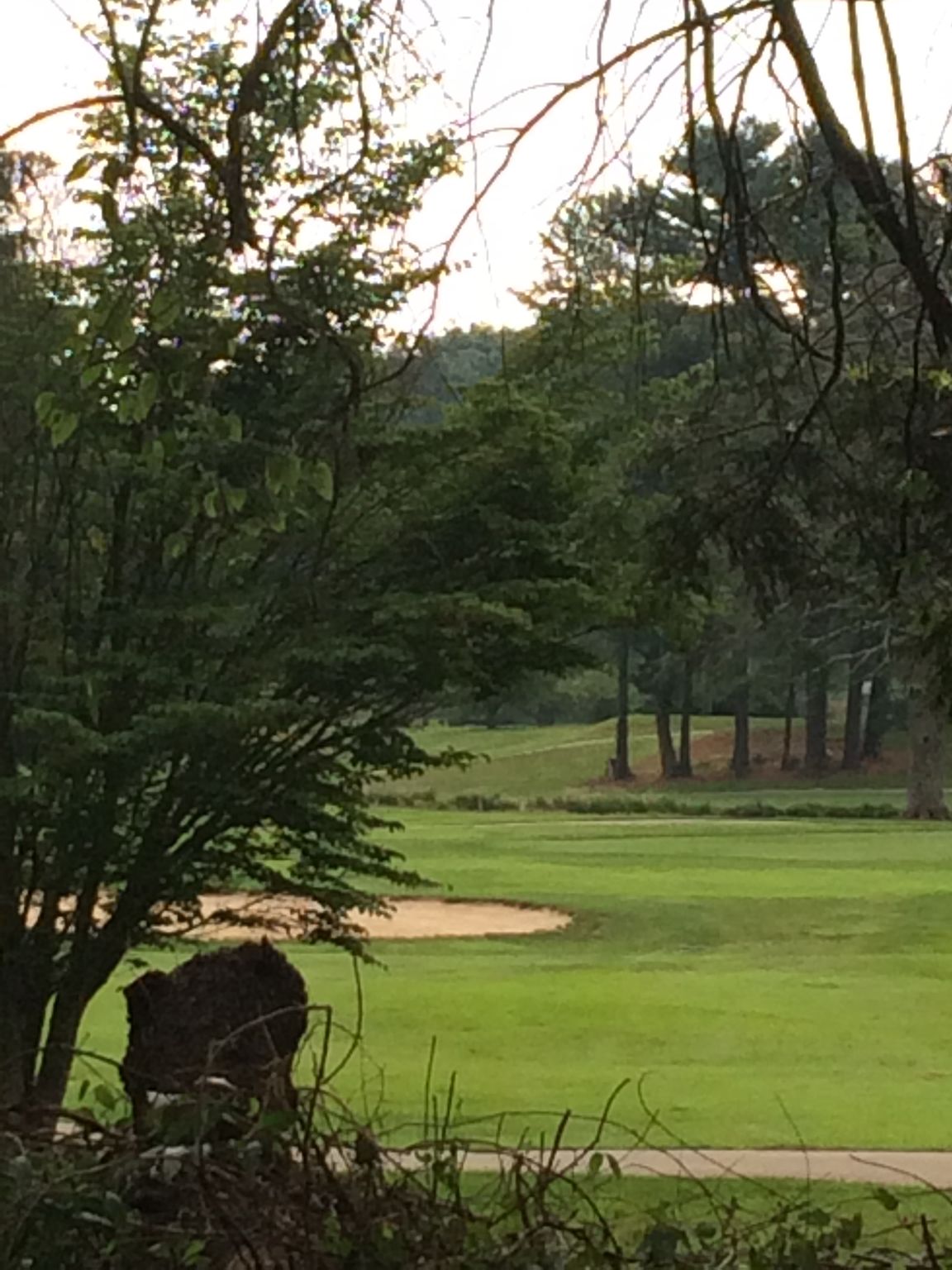 237 Browning Rd, Waynesville, NC 28786 Trulia