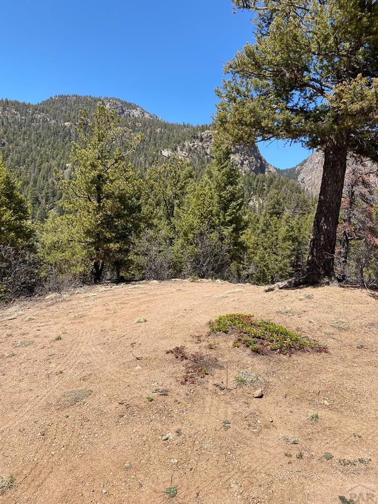 Little Turkey Creek Rd 67, Colorado Springs, CO 80926 MLS 216366 Trulia