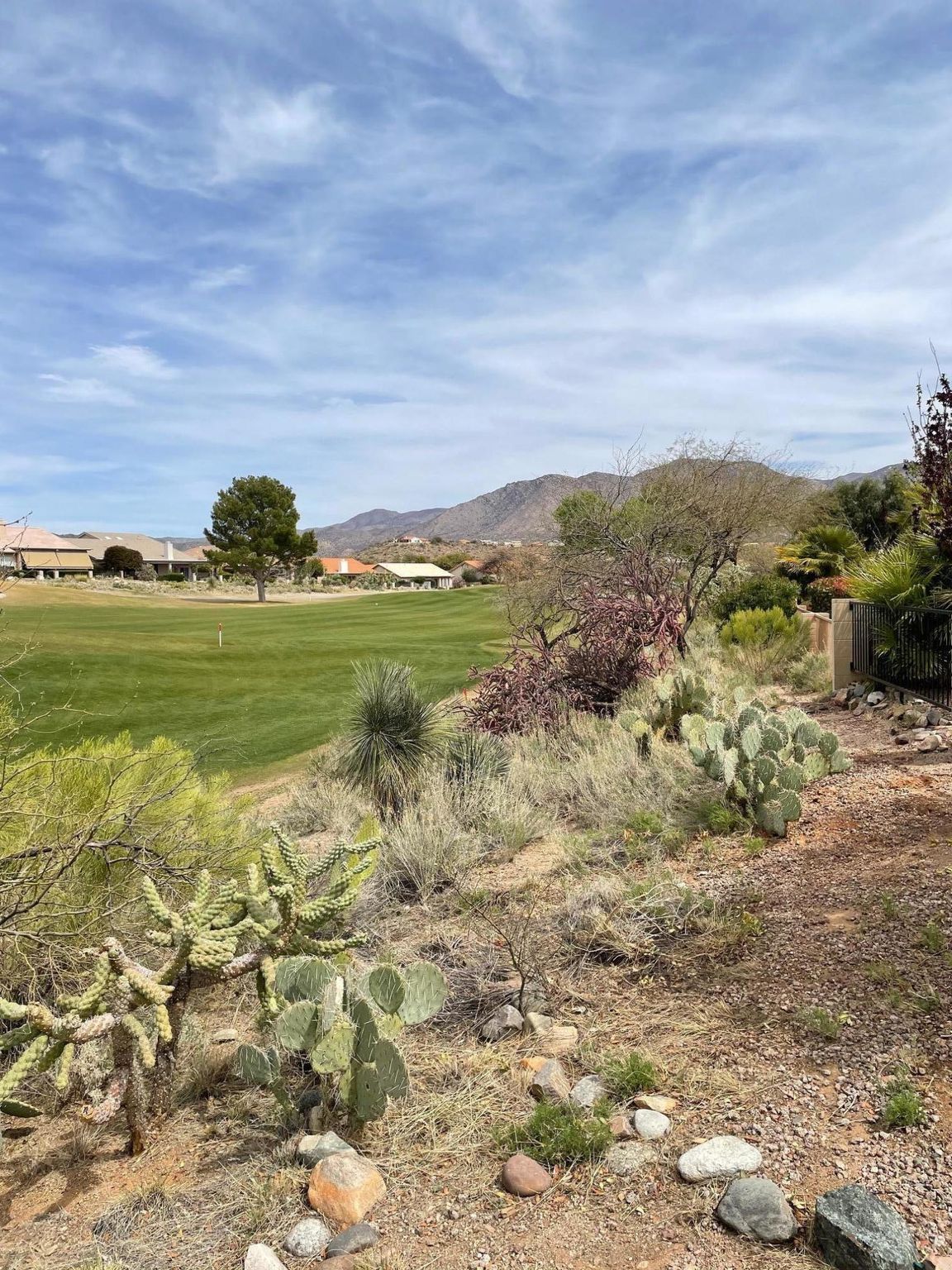 64252 E Orangewood Ln, Saddlebrooke, AZ 85739 Trulia