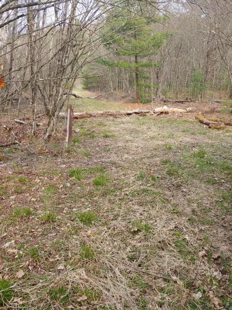 77 & 000 Togetherness Ln, Cross Fork, PA 17729 Trulia