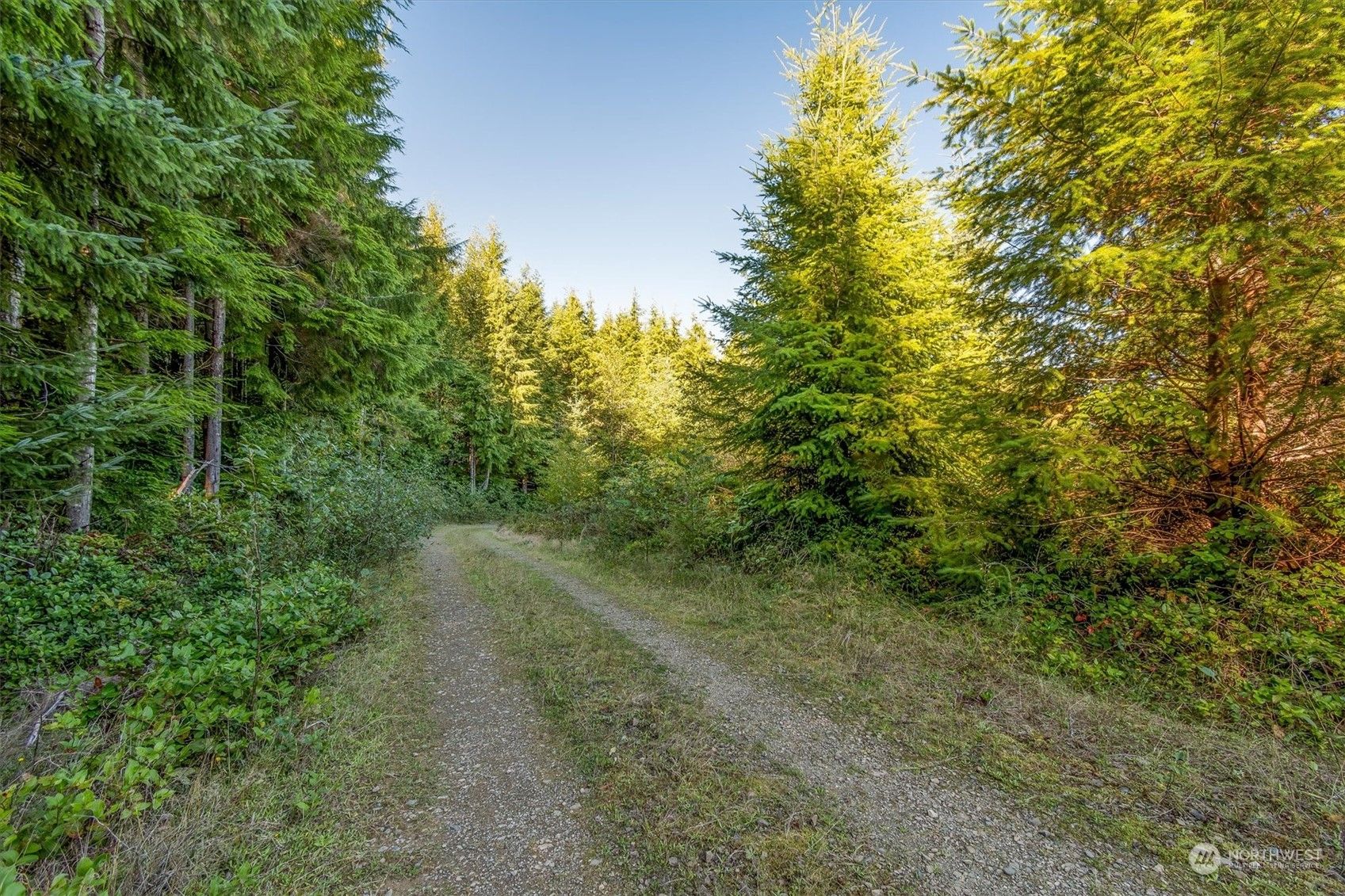 7 Dell Creek Mainline Road, Naselle, WA 98638 MLS 2168774 Trulia