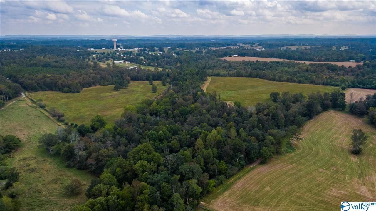 1102 6th St S, Sylvania, AL 35988 Trulia