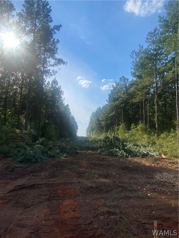 Lot 3 County Road 21, Moundville, AL 35474 Trulia