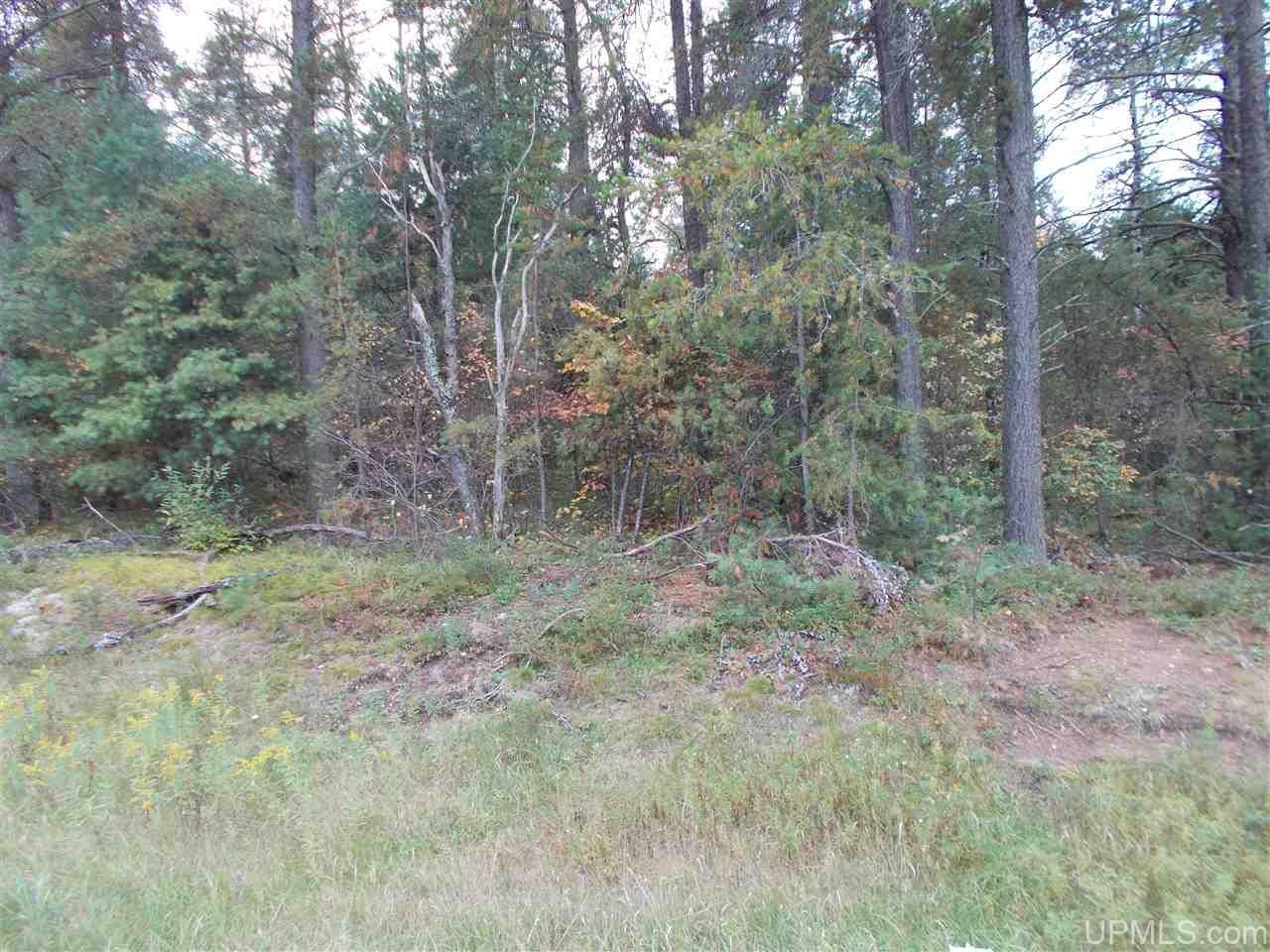 Weather gwinn mi 49841