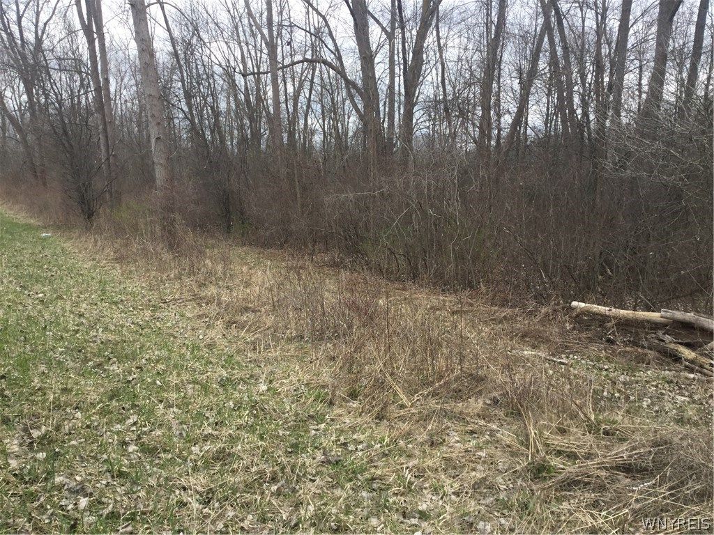 5902 Bear Ridge Rd, Lockport, NY 14094 Trulia