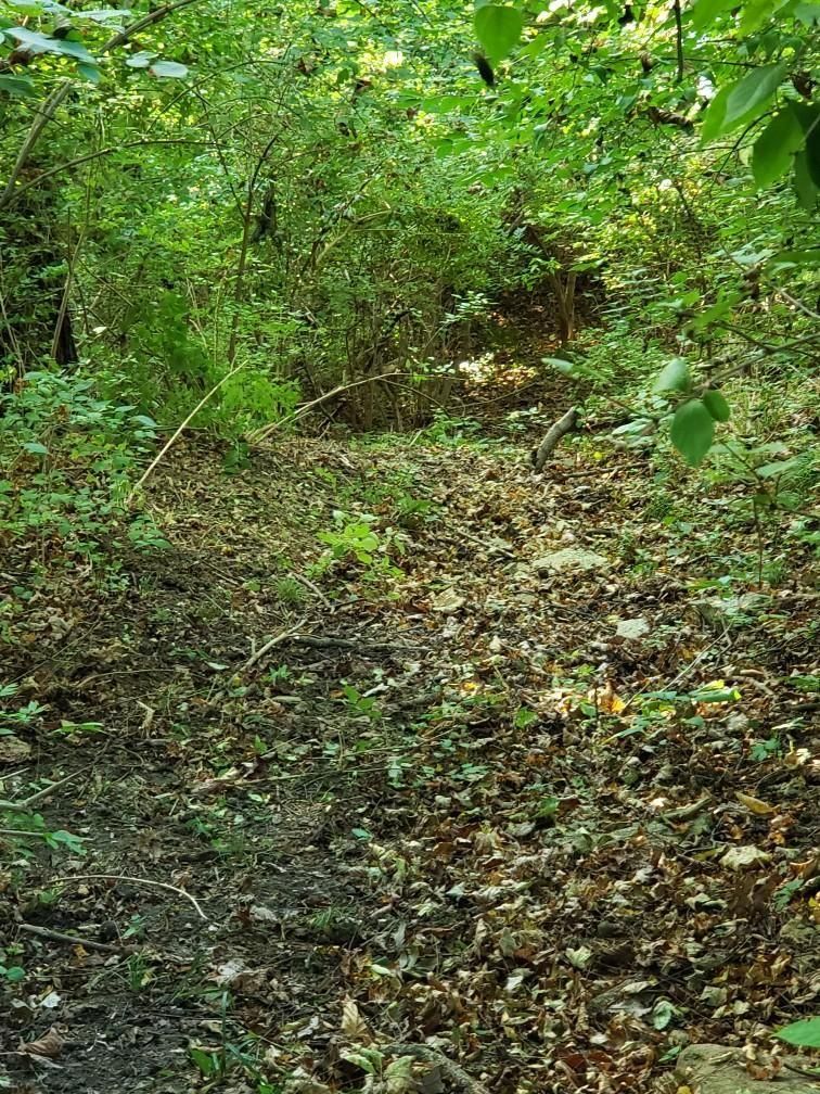 5921 E Miami River Rd, Cleves, OH 45002 Trulia