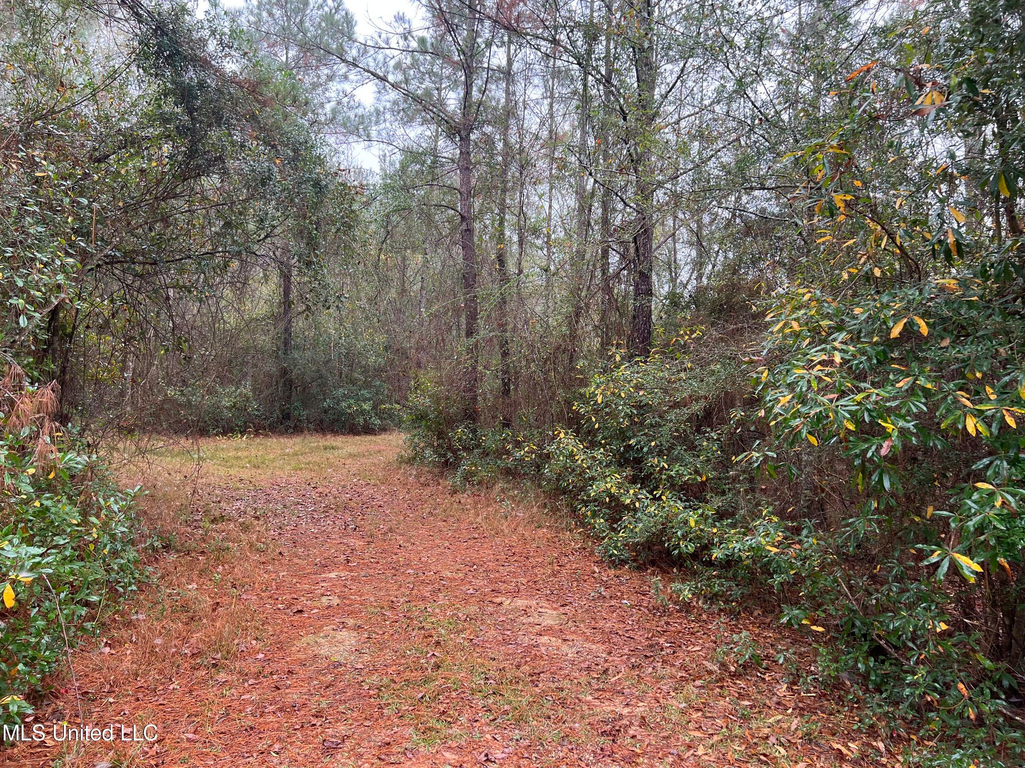 Old Kiln Rd, Kiln, MS 39556 Trulia