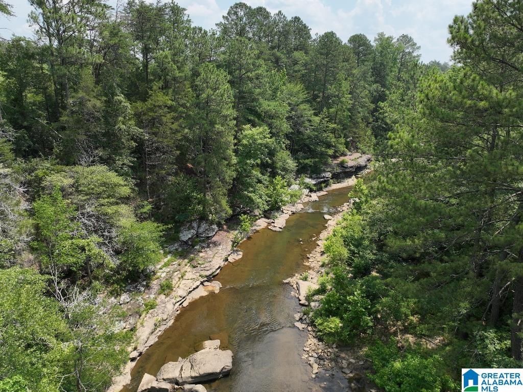 11 Foot Rd 0, Carbon Hill, AL 35549 Trulia