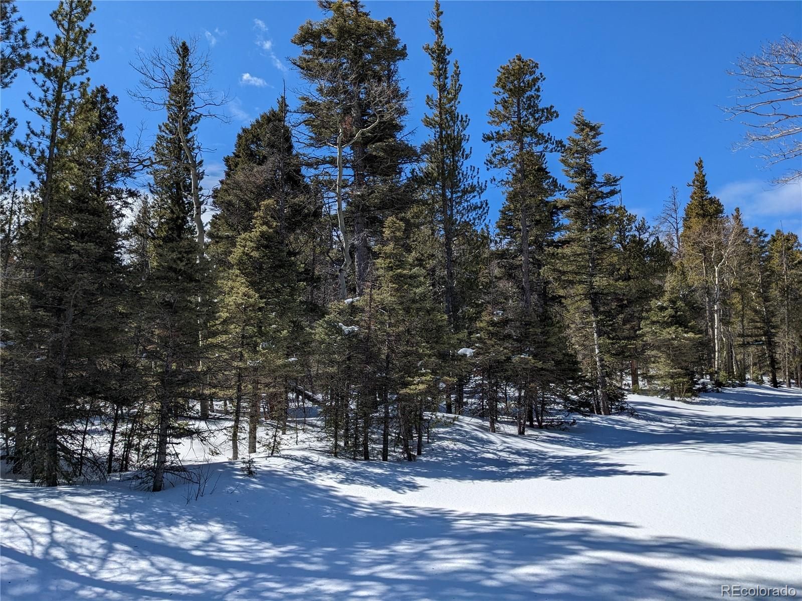 2460 Dexheimer Lane, Fort Garland, CO 81133 Trulia