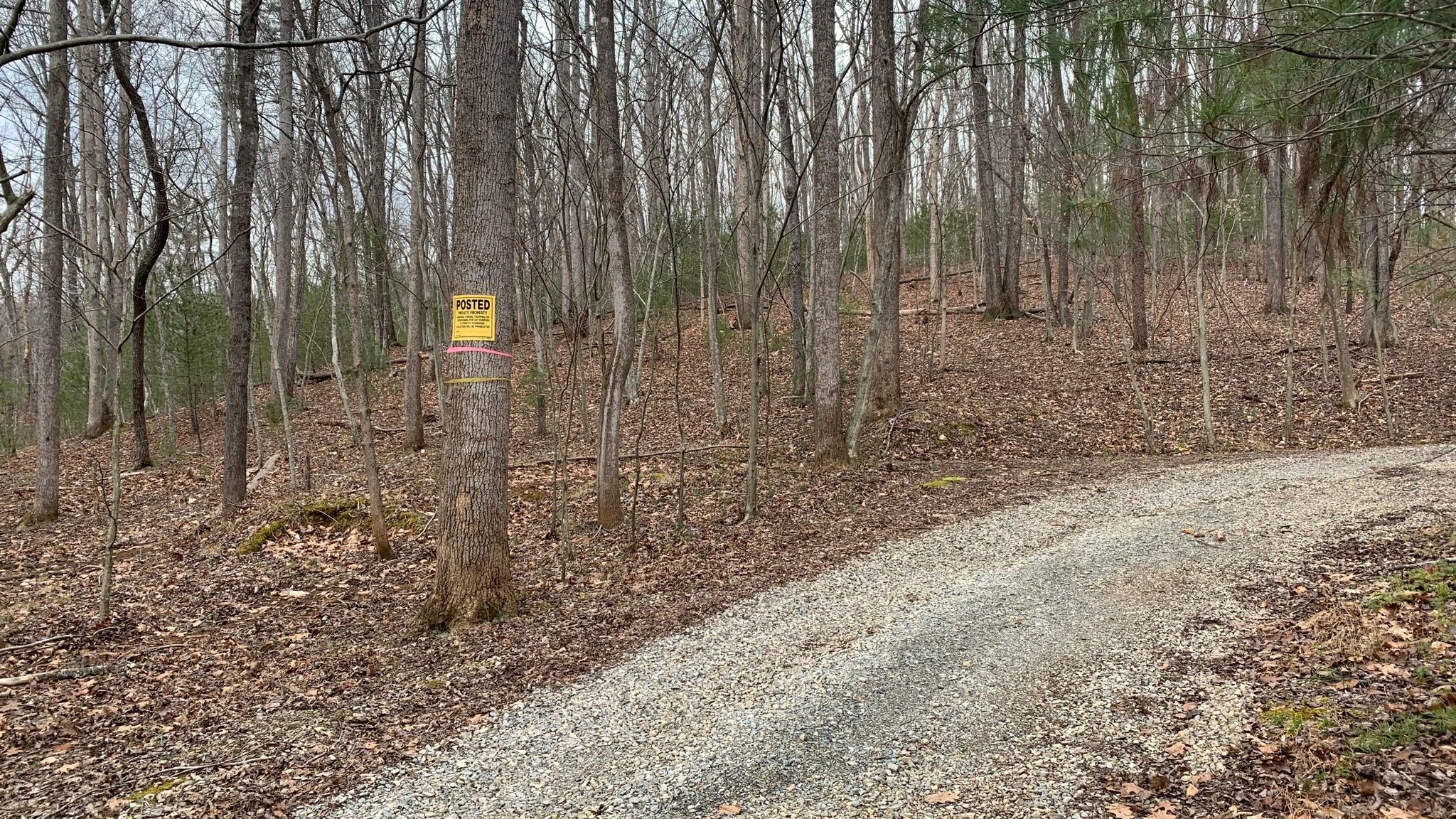 1739 Boones Mill Rd, Boones Mill, VA 24065 Trulia