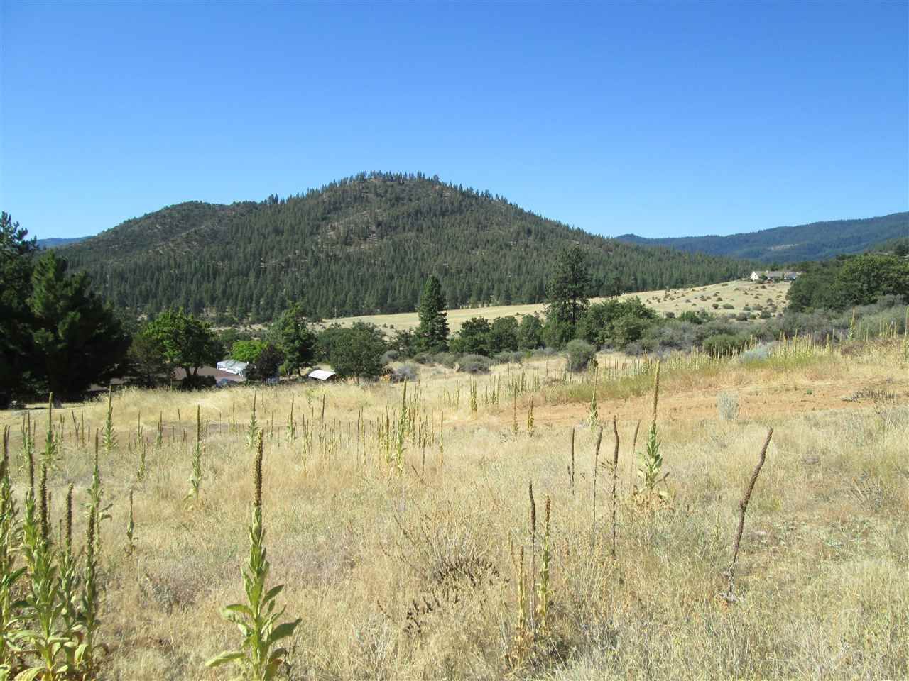 Grizzly Ct, Yreka, CA 96097 Trulia
